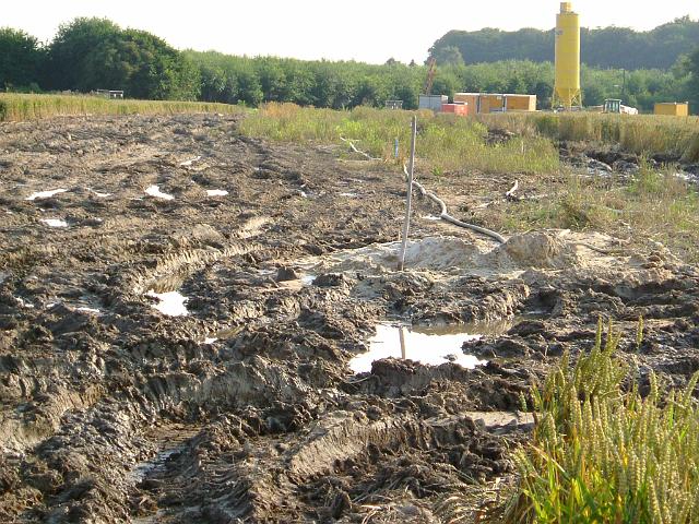 2004_0722_224214 (36).JPG - Südl. des Altbestandes Richtung Süd/West - Durch das Befahren des Ackers während der Bohrungen nach den bergbaulichen Hohlräumen und der Verfüllung der Hohlräume wurde der Acker verdichtet.